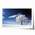 Fine Art Photography Acrylic Prints – Winter Serenity