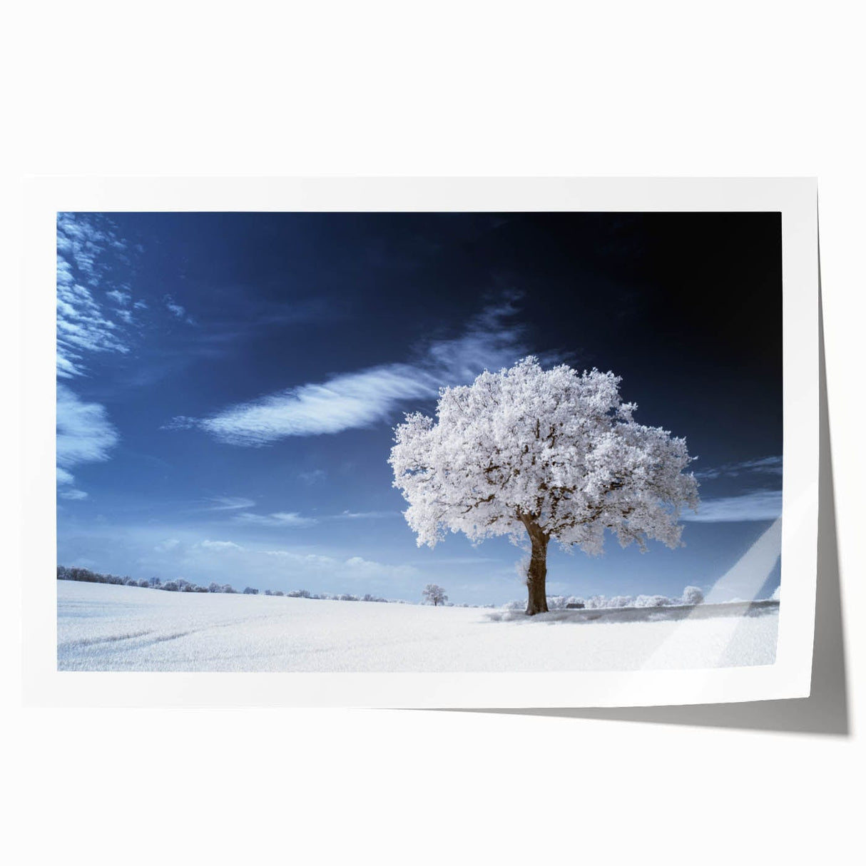 Fine Art Photography Acrylic Prints – Winter Serenity