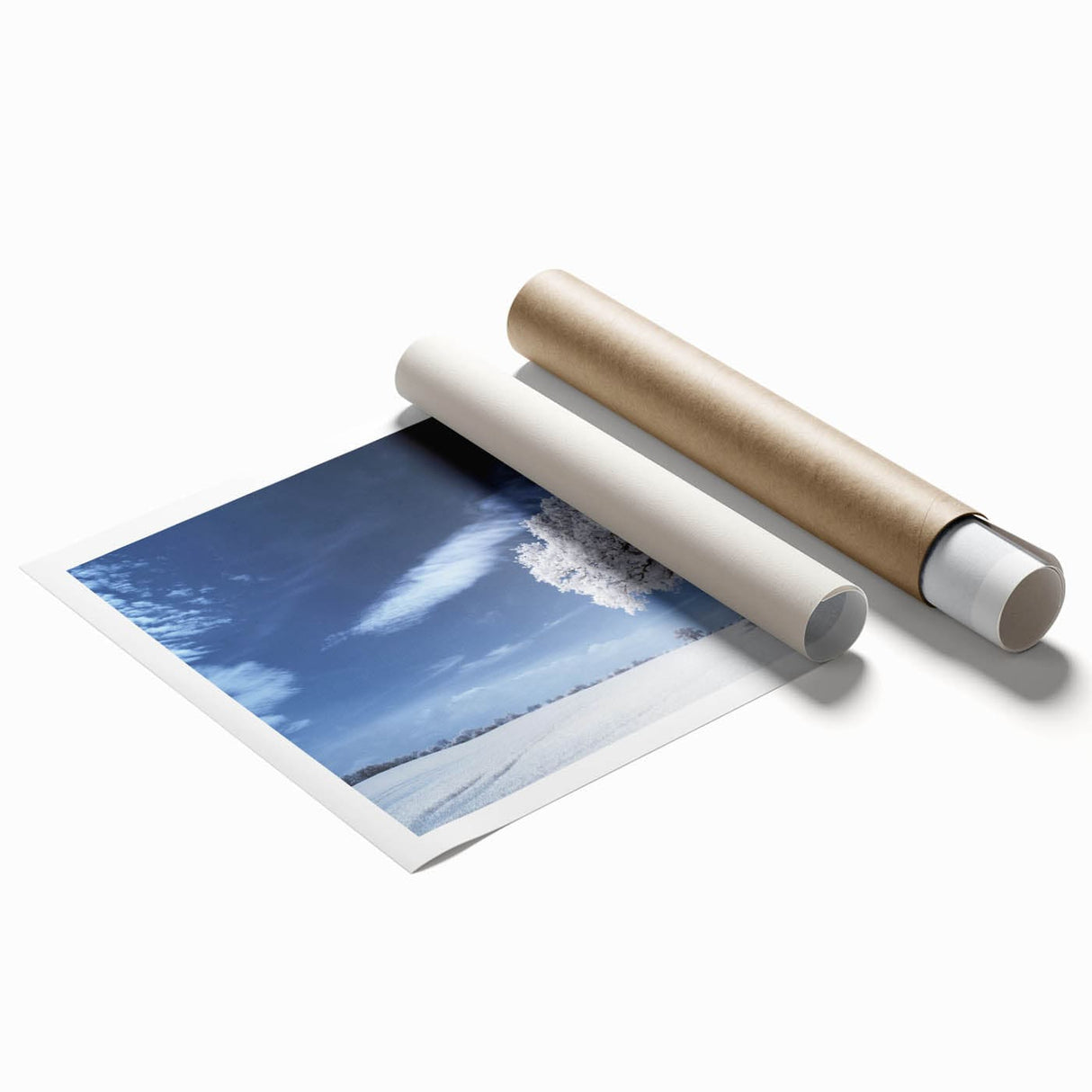 Fine Art Photography Acrylic Prints – Winter Serenity