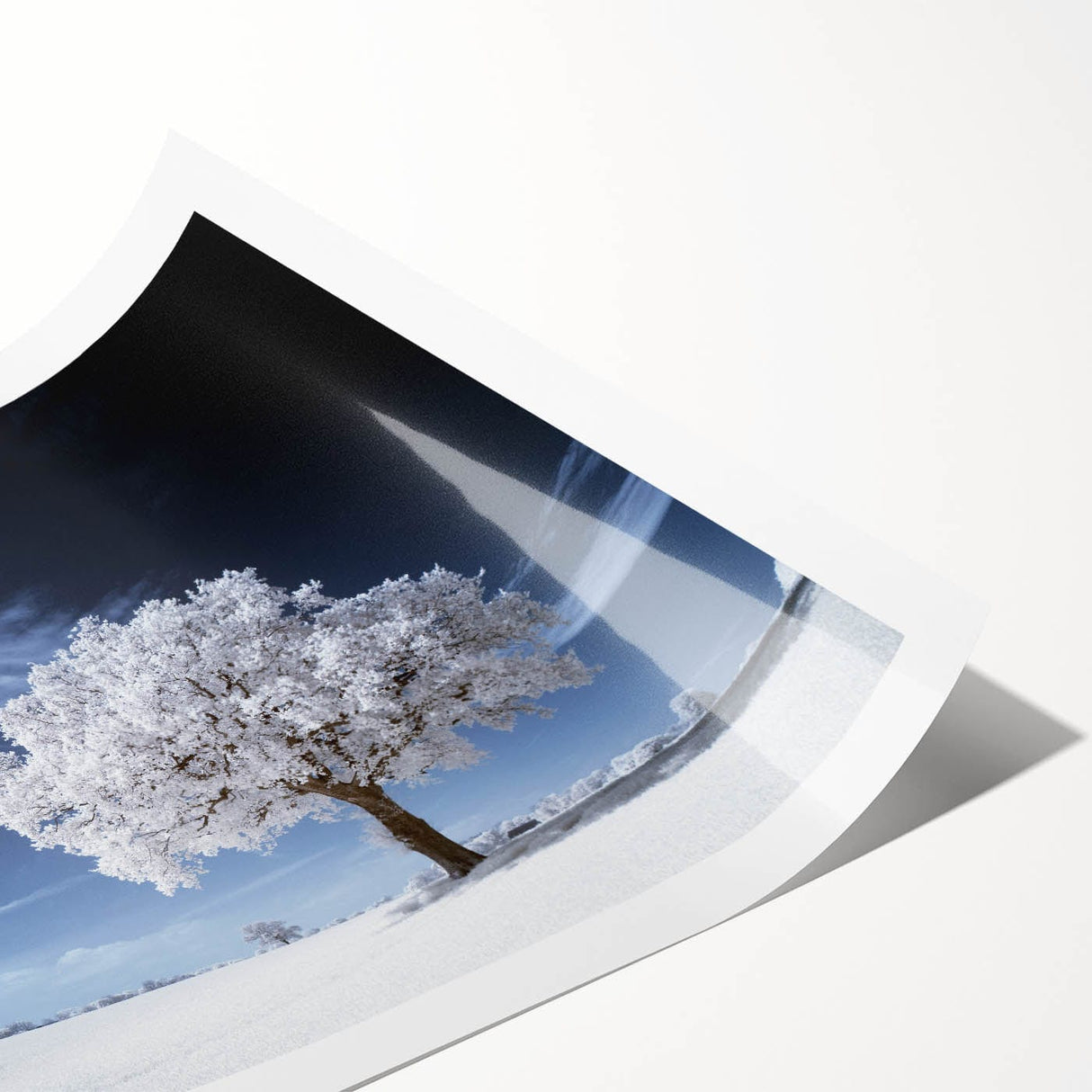 Fine Art Photography Acrylic Prints – Winter Serenity