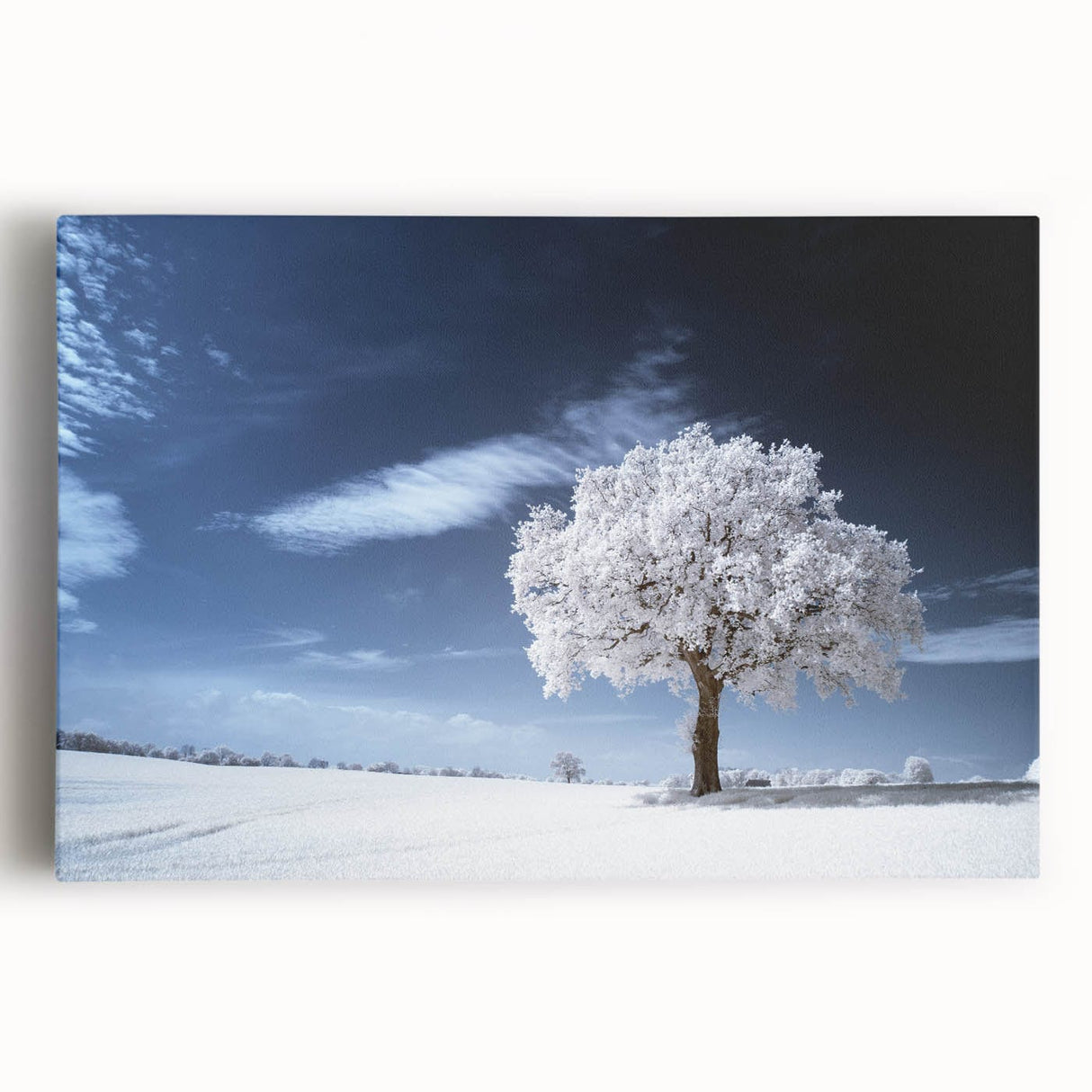 Fine Art Photography Acrylic Prints – Winter Serenity