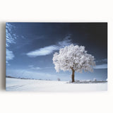 Fine Art Photography Acrylic Prints – Winter Serenity