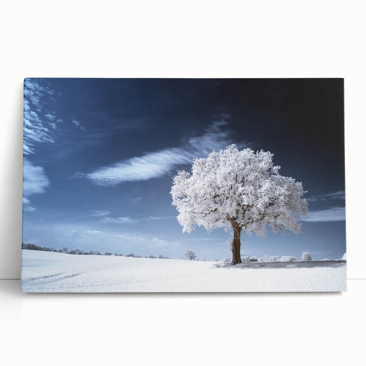 Fine Art Photography Acrylic Prints – Winter Serenity