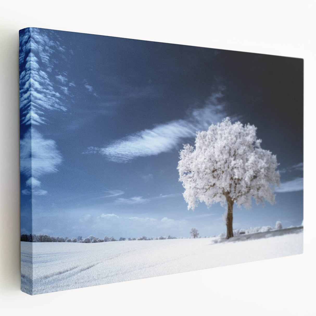 Fine Art Photography Acrylic Prints – Winter Serenity