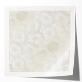 Contemporary Framed Abstract Art – Soft Beige Floral Texture Design