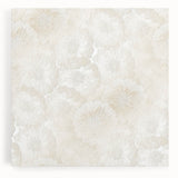 Contemporary Framed Abstract Art – Soft Beige Floral Texture Design