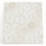 Contemporary Framed Abstract Art – Soft Beige Floral Texture Design