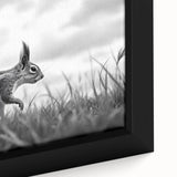 Wildlife in Motion – Black & White Fine Art Squirrel Photography