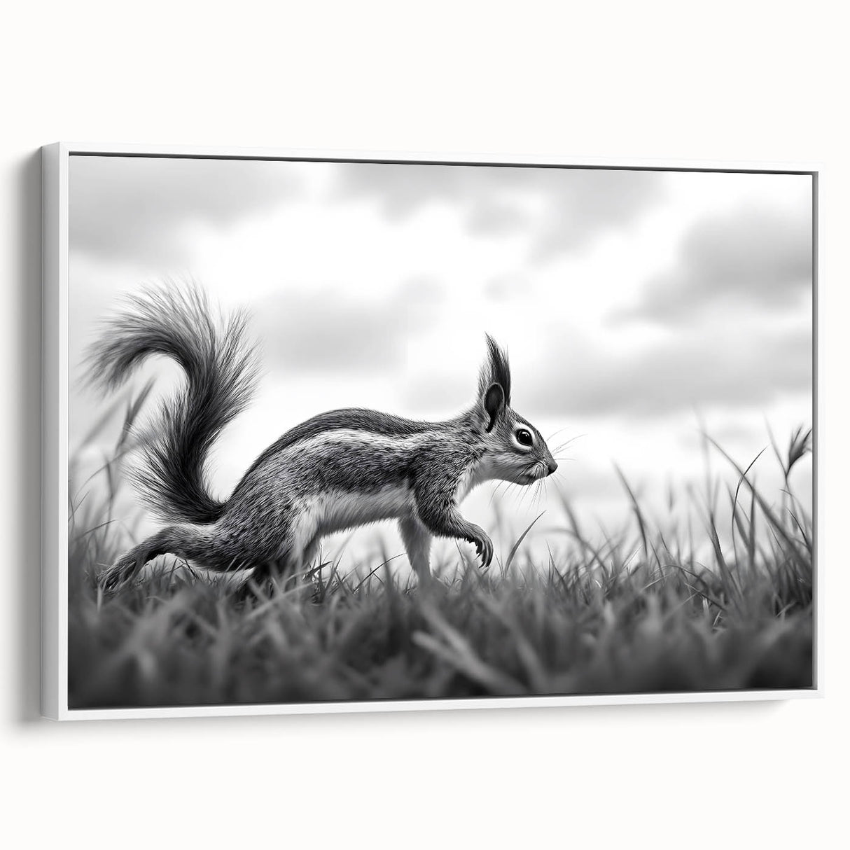 Wildlife in Motion – Black & White Fine Art Squirrel Photography