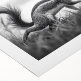 Wildlife in Motion – Black & White Fine Art Squirrel Photography