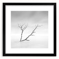 Minimalist Landscape Wall Art – Solitary Branch in Soft Mist