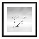 Minimalist Landscape Wall Art – Solitary Branch in Soft Mist