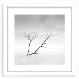 Minimalist Landscape Wall Art – Solitary Branch in Soft Mist