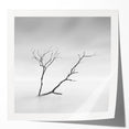 Minimalist Landscape Wall Art – Solitary Branch in Soft Mist