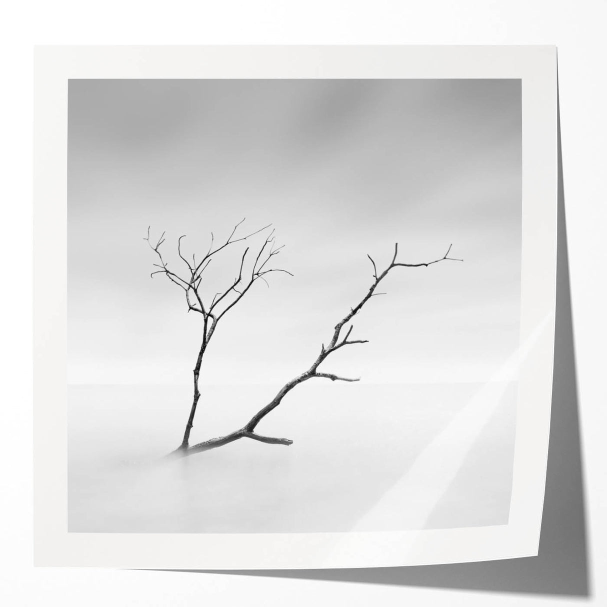 Minimalist Landscape Wall Art – Solitary Branch in Soft Mist