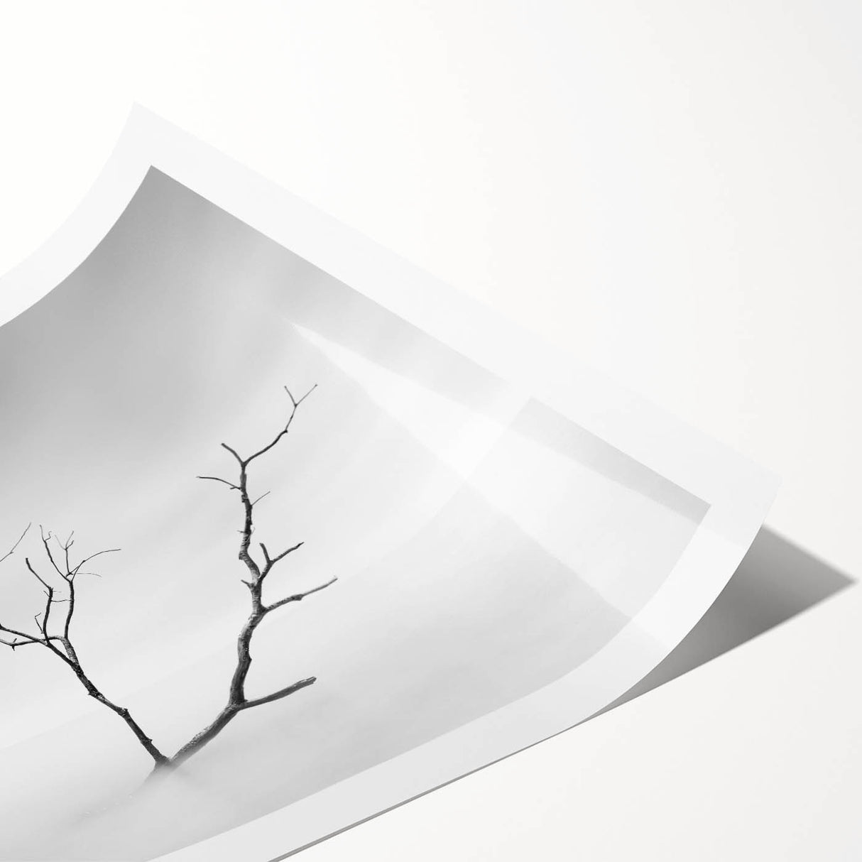 Minimalist Landscape Wall Art – Solitary Branch in Soft Mist