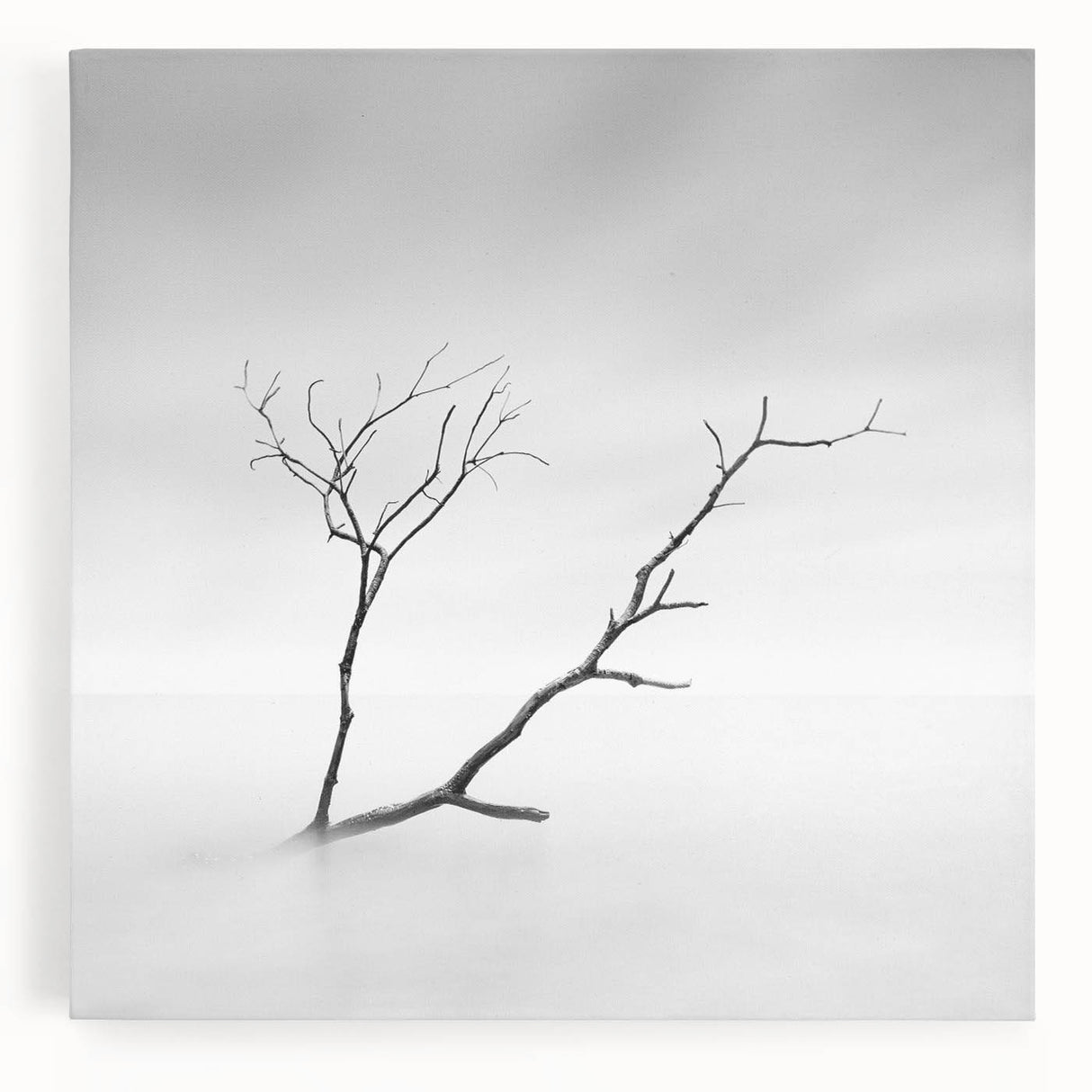 Minimalist Landscape Wall Art – Solitary Branch in Soft Mist