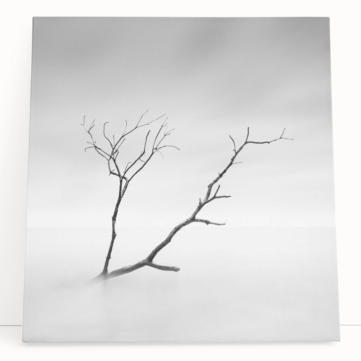 Minimalist Landscape Wall Art – Solitary Branch in Soft Mist