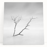 Minimalist Landscape Wall Art – Solitary Branch in Soft Mist