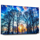 Winter Sunset Through Trees – Fine Art Landscape Photography