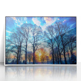 Winter Sunset Through Trees – Fine Art Landscape Photography
