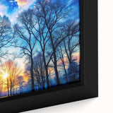 Winter Sunset Through Trees – Fine Art Landscape Photography