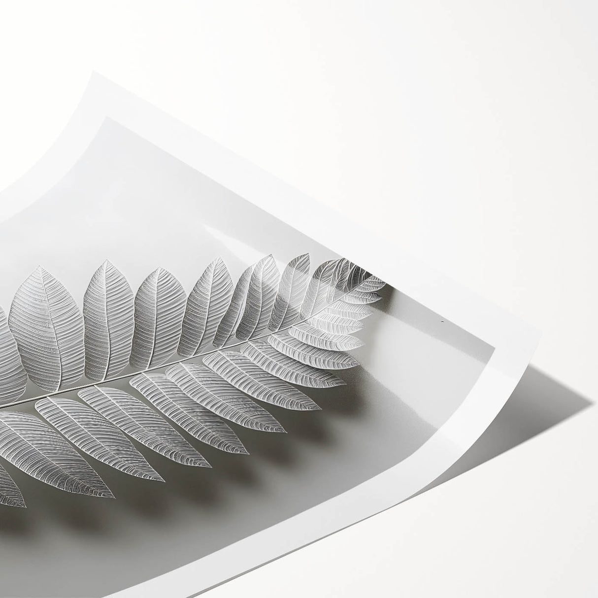 Minimalist Monochrome Leaf – Fine Art Botanical Photography