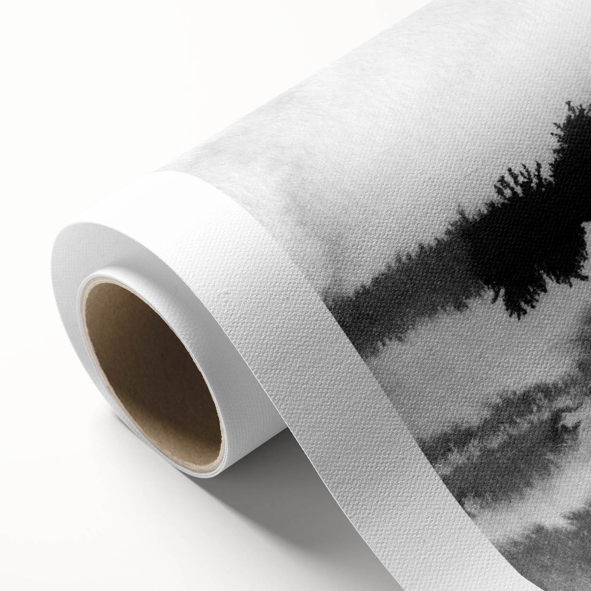 Black and White Minimalist Landscapes – Inked Forest Horizon View