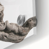 Modern Abstract Canvas Prints – Organic Gray and Brown Texture