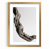 Modern Abstract Canvas Prints – Organic Gray and Brown Texture