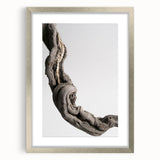 Modern Abstract Canvas Prints – Organic Gray and Brown Texture