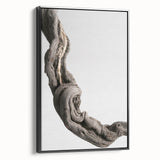 Modern Abstract Canvas Prints – Organic Gray and Brown Texture