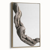 Modern Abstract Canvas Prints – Organic Gray and Brown Texture