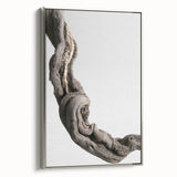 Modern Abstract Canvas Prints – Organic Gray and Brown Texture