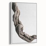 Modern Abstract Canvas Prints – Organic Gray and Brown Texture