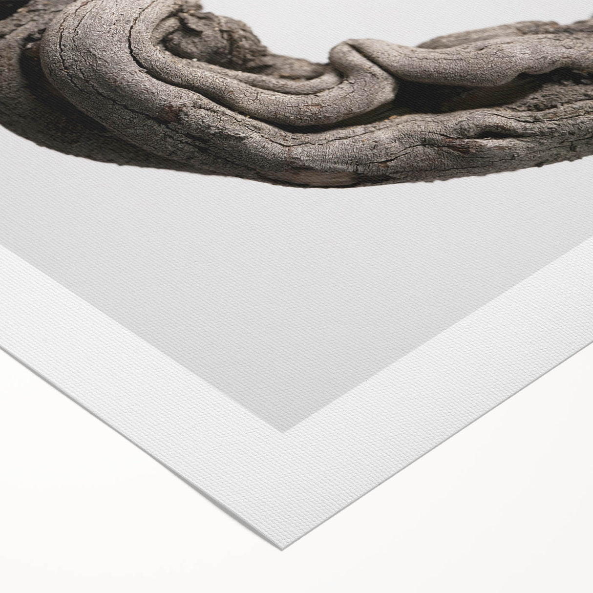 Modern Abstract Canvas Prints – Organic Gray and Brown Texture