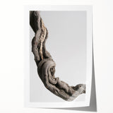 Modern Abstract Canvas Prints – Organic Gray and Brown Texture