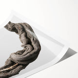 Modern Abstract Canvas Prints – Organic Gray and Brown Texture