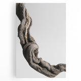 Modern Abstract Canvas Prints – Organic Gray and Brown Texture