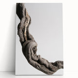 Modern Abstract Canvas Prints – Organic Gray and Brown Texture