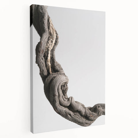 Modern Abstract Canvas Prints – Organic Gray and Brown Texture