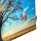 Majestic Tree & Sunburst – Fine Art Nature Photography Print