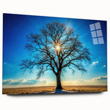 Majestic Tree & Sunburst – Fine Art Nature Photography Print