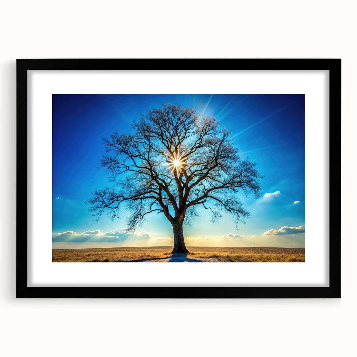Majestic Tree & Sunburst – Fine Art Nature Photography Print