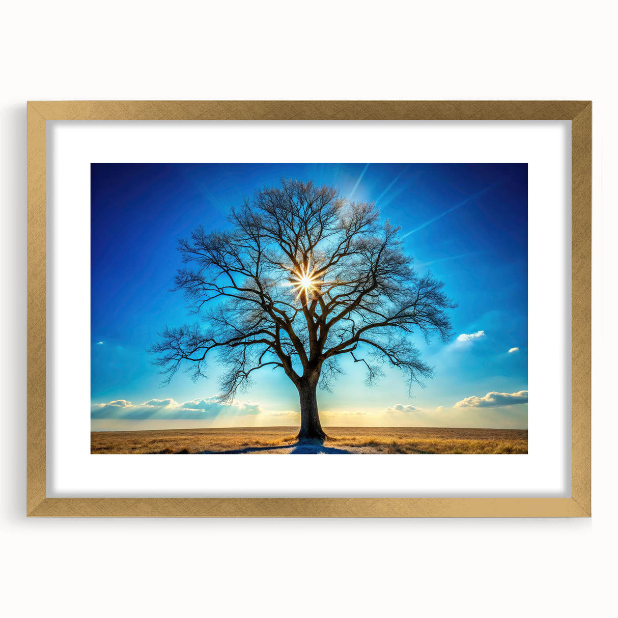 Majestic Tree & Sunburst – Fine Art Nature Photography Print