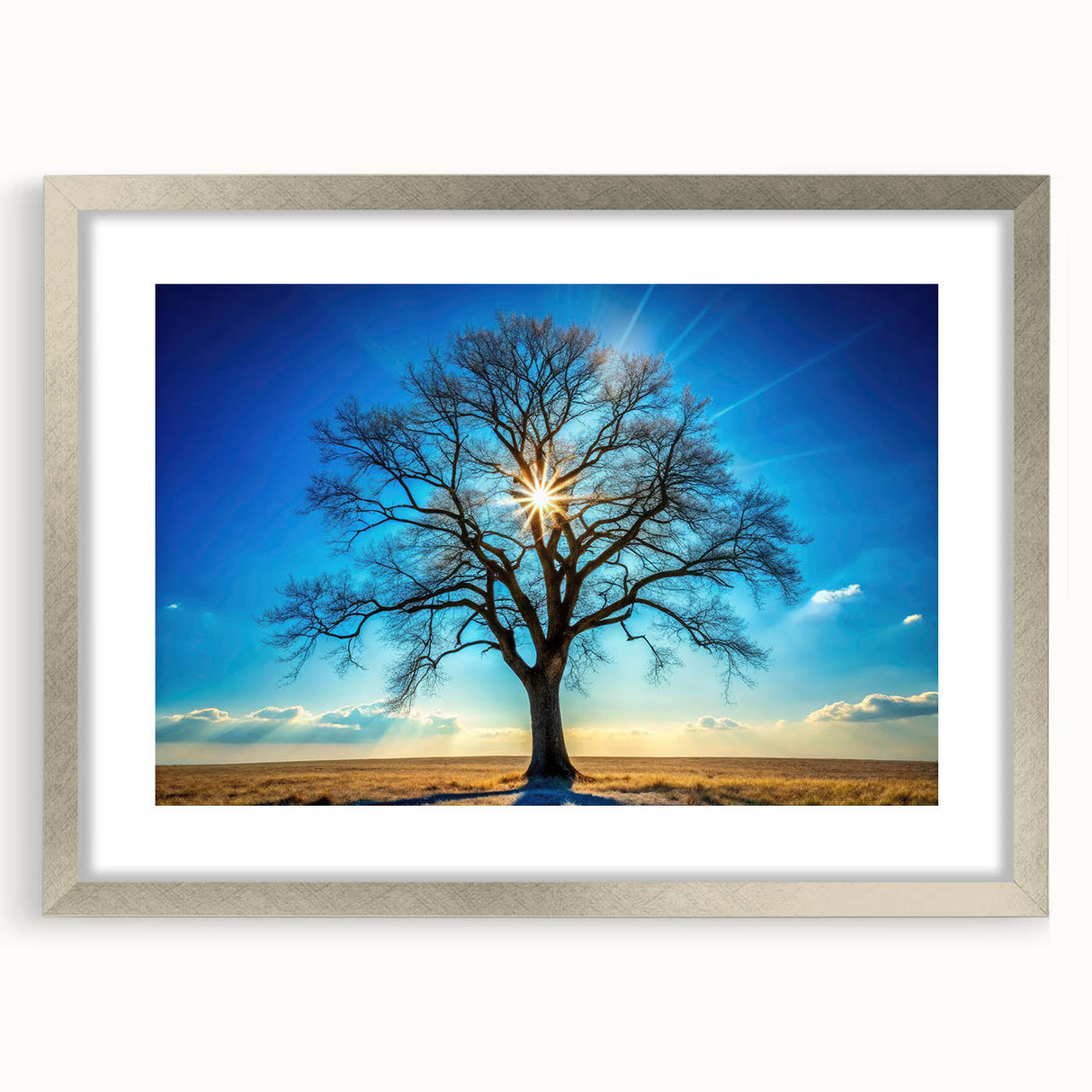 Majestic Tree & Sunburst – Fine Art Nature Photography Print