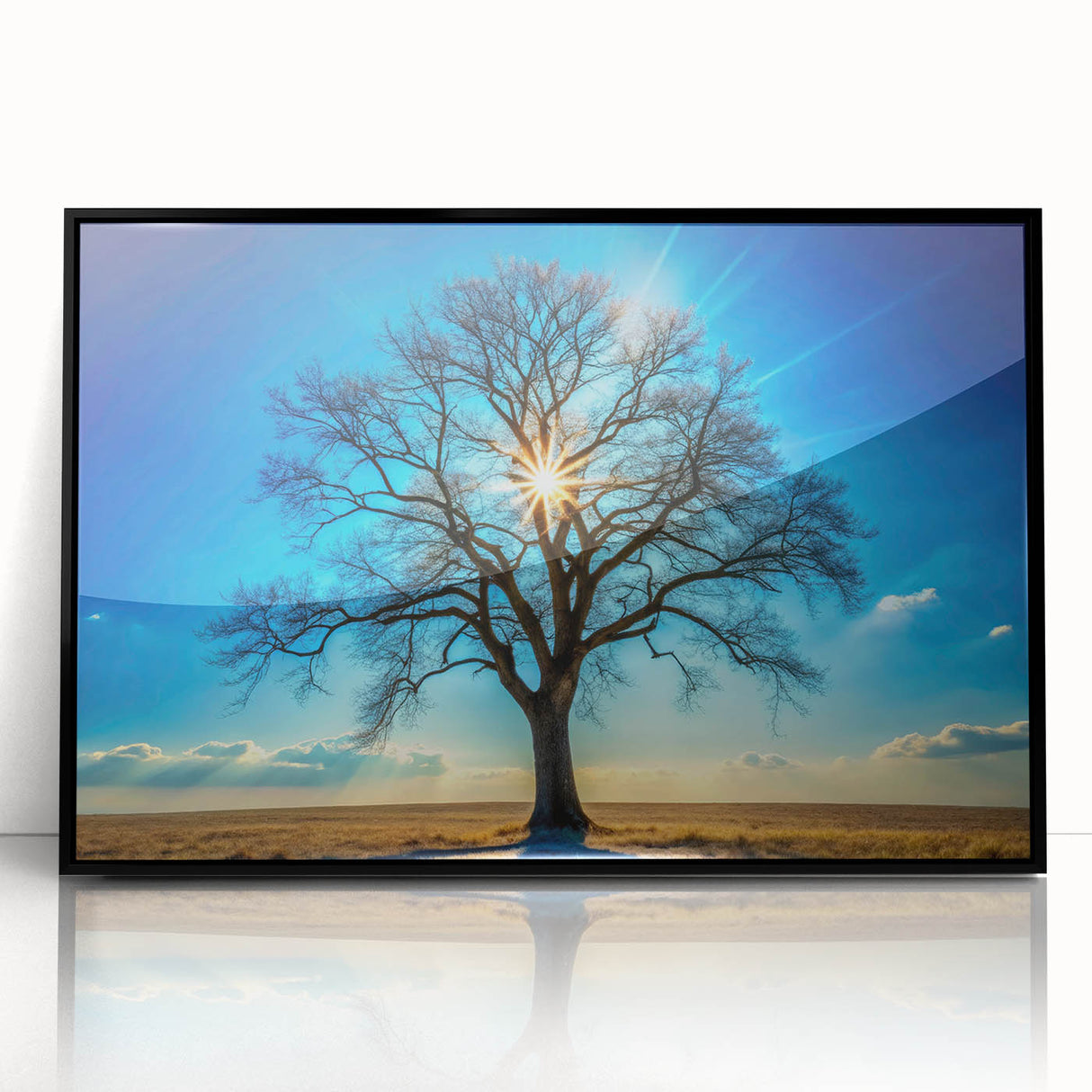 Majestic Tree & Sunburst – Fine Art Nature Photography Print