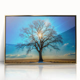 Majestic Tree & Sunburst – Fine Art Nature Photography Print