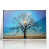 Majestic Tree & Sunburst – Fine Art Nature Photography Print
