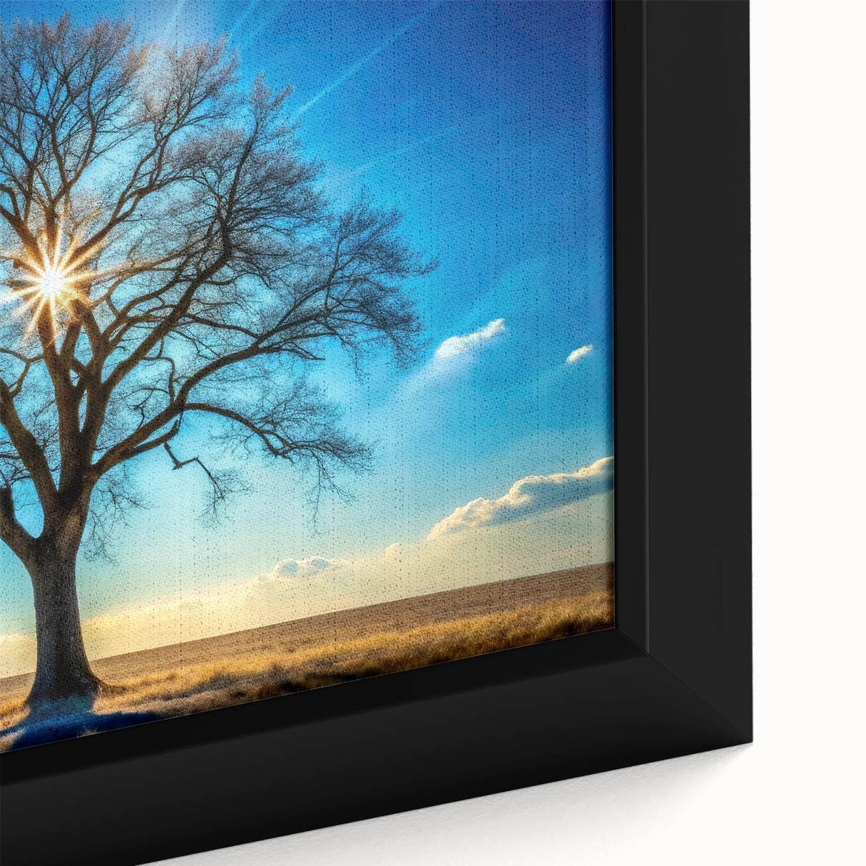 Majestic Tree & Sunburst – Fine Art Nature Photography Print